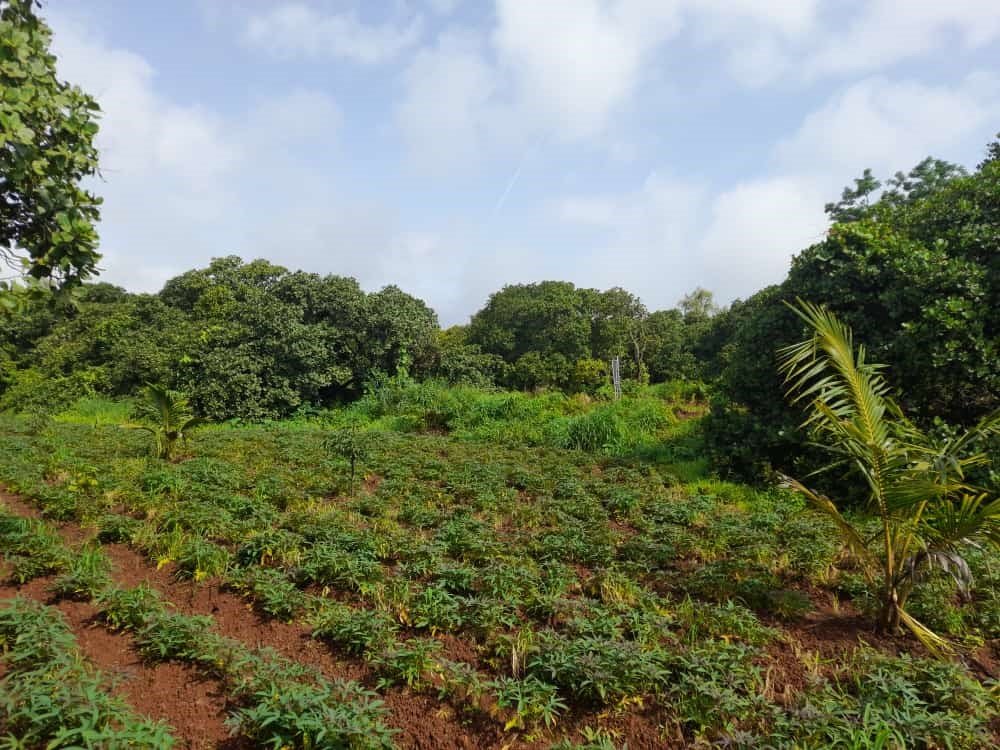 365918279_6722972221080918_202132949981497072_n