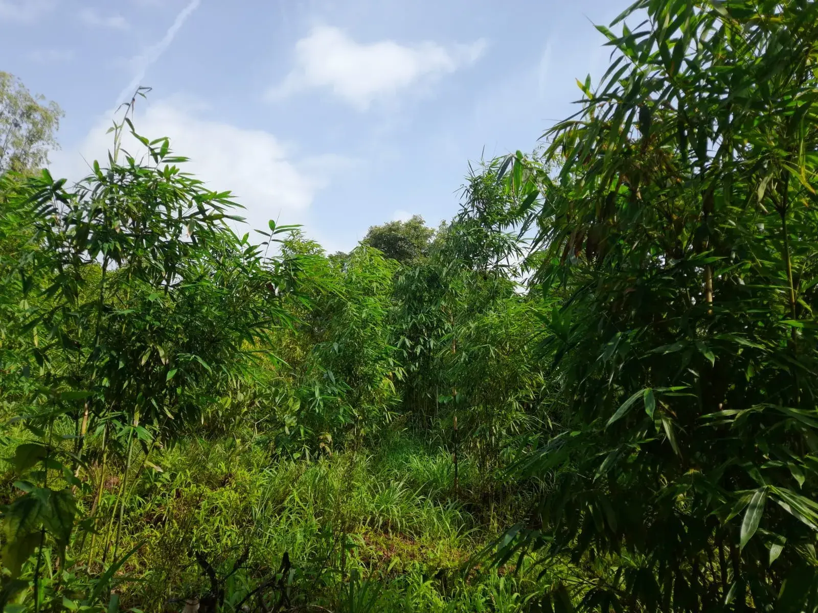 366093160_6722971614414312_2138474568833860904_n