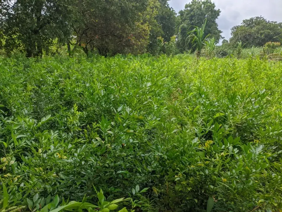 381023627_6916633285048143_8278431860619767078_n