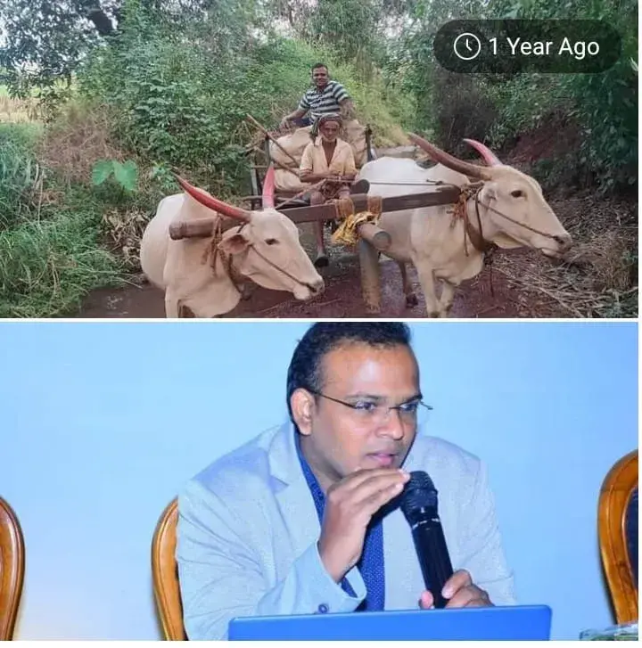 387765227_6964697646908373_7488700361915275710_n