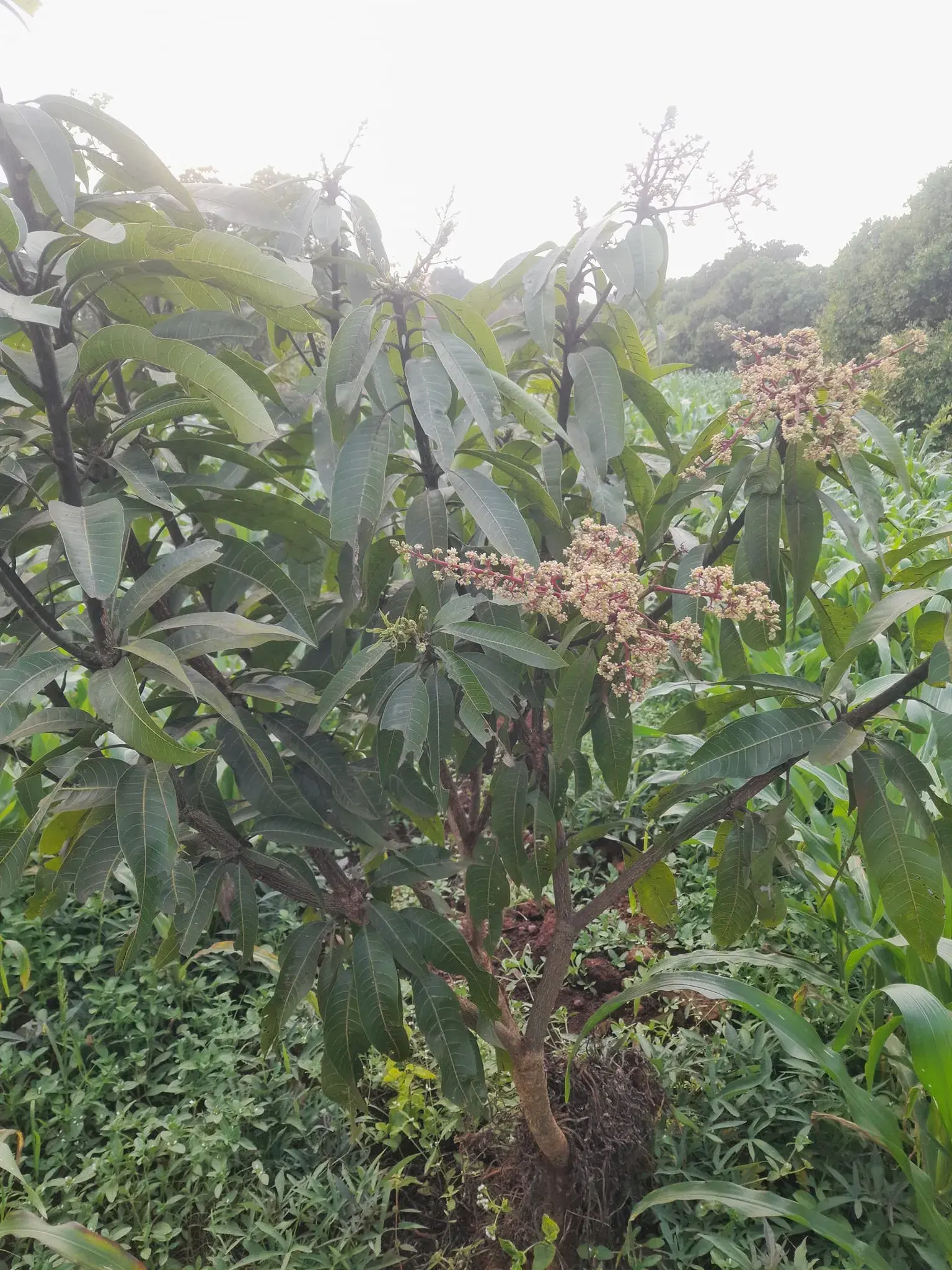 411885251_7239531632758305_3205669755015687470_n