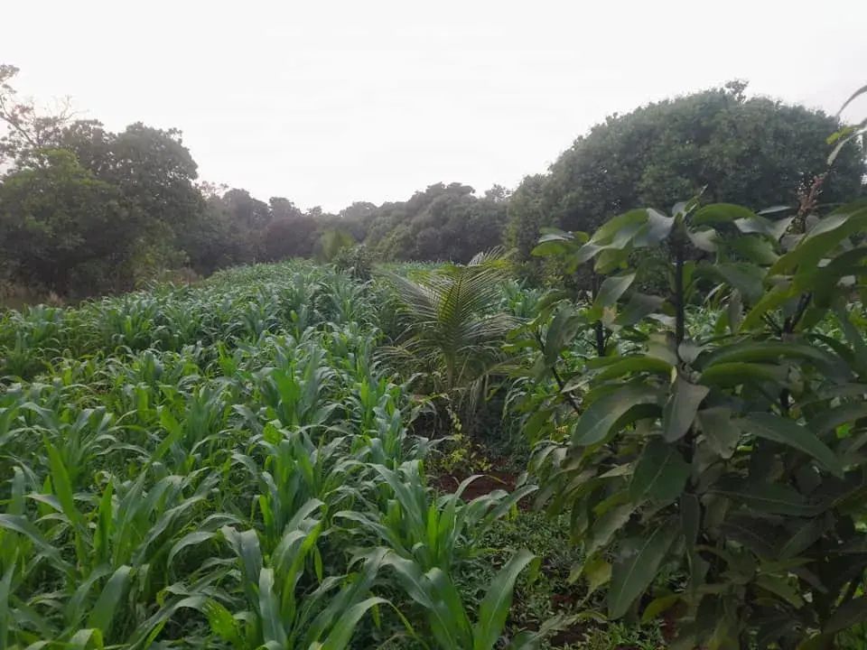 412445578_7239511642760304_8906155302999091188_n