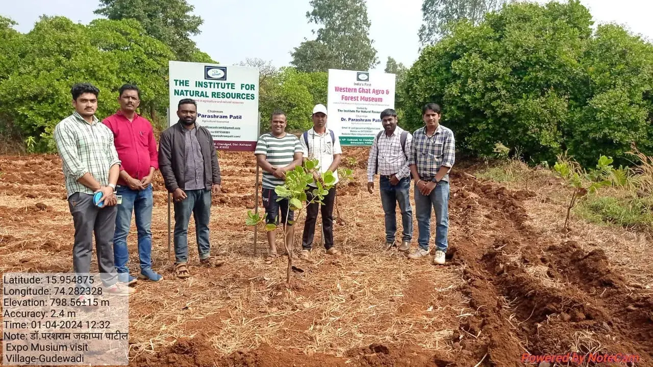 415012766_7285154398196028_7913273227705205666_n